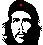 Che Guevara